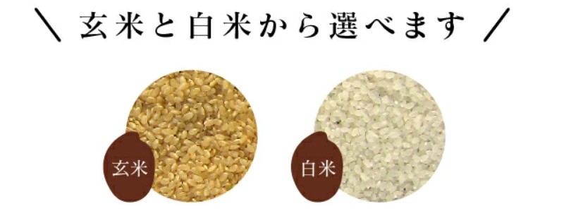 ���čH�[ �ӂ��P 10Kg (�󂠂�A�����A�u�����h��) 
���T�C�g